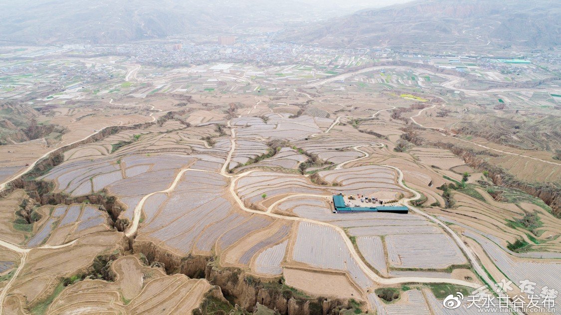 做美甲前做美甲后